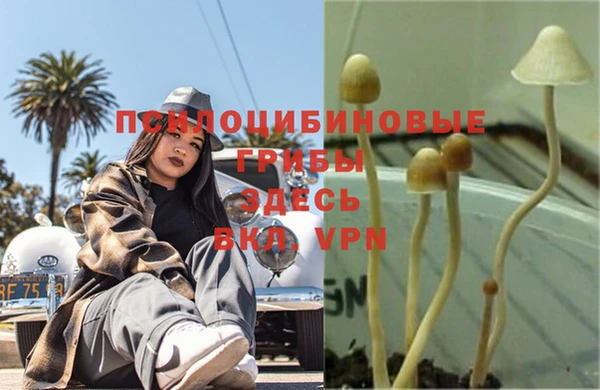 первитин Абдулино