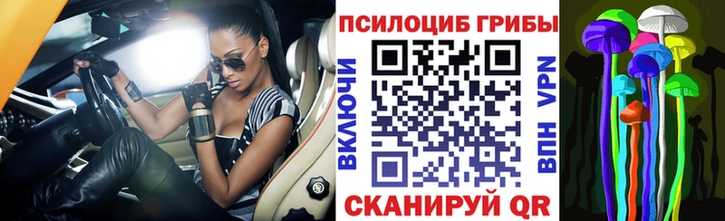 Псилоцибиновые грибы мухоморы  как найти   Алейск 